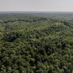 Photo #7 of 01 Seven Island Road, Danbury, NC 18.5 acres