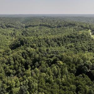 Photo #8 of 01 Seven Island Road, Danbury, NC 18.5 acres