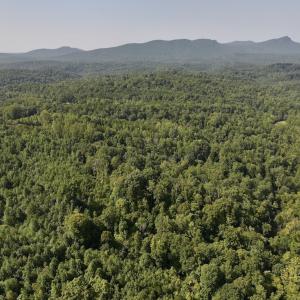 Photo #21 of 01 Seven Island Road, Danbury, NC 18.5 acres