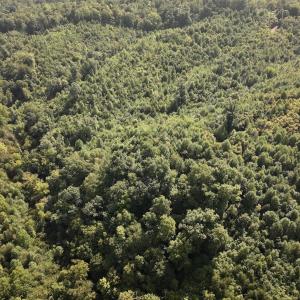 Photo #22 of 01 Seven Island Road, Danbury, NC 18.5 acres