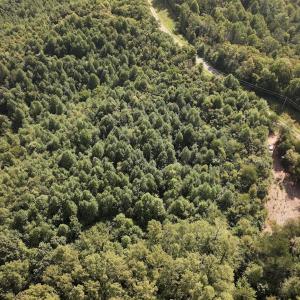 Photo #23 of 01 Seven Island Road, Danbury, NC 18.5 acres