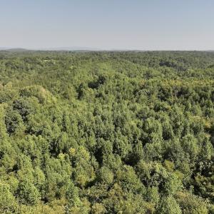 Photo #26 of 01 Seven Island Road, Danbury, NC 18.5 acres