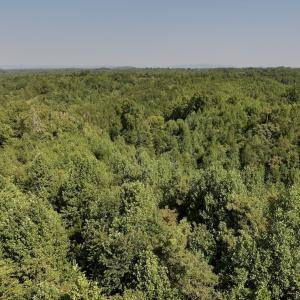 Photo #27 of 01 Seven Island Road, Danbury, NC 18.5 acres