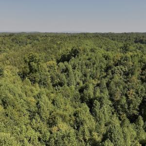 Photo #28 of 01 Seven Island Road, Danbury, NC 18.5 acres