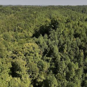 Photo #29 of 01 Seven Island Road, Danbury, NC 18.5 acres
