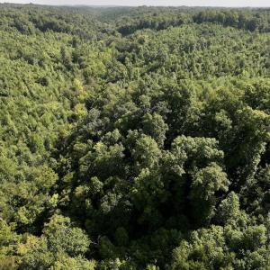 Photo #30 of 01 Seven Island Road, Danbury, NC 18.5 acres