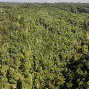 Photo #31 of 01 Seven Island Road, Danbury, NC 18.5 acres