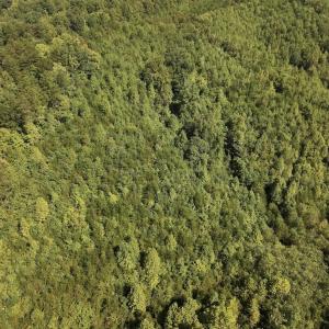 Photo #32 of 01 Seven Island Road, Danbury, NC 18.5 acres