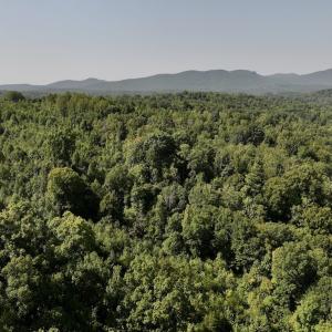 Photo #33 of 01 Seven Island Road, Danbury, NC 18.5 acres