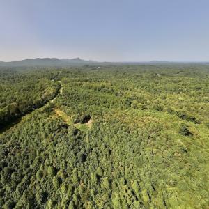 Photo #1 of SOLD property in 02 Seven Island Road, Danbury, NC 21.7 acres