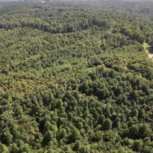 Photo #10 of SOLD property in 02 Seven Island Road, Danbury, NC 21.7 acres
