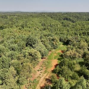 Photo #14 of SOLD property in 02 Seven Island Road, Danbury, NC 21.7 acres