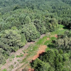 Photo #15 of SOLD property in 02 Seven Island Road, Danbury, NC 21.7 acres