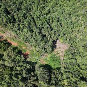 Photo #17 of SOLD property in 02 Seven Island Road, Danbury, NC 21.7 acres