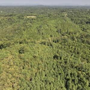 Photo #18 of SOLD property in 02 Seven Island Road, Danbury, NC 21.7 acres