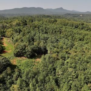 Photo #19 of SOLD property in 02 Seven Island Road, Danbury, NC 21.7 acres