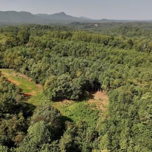 Photo #20 of SOLD property in 02 Seven Island Road, Danbury, NC 21.7 acres