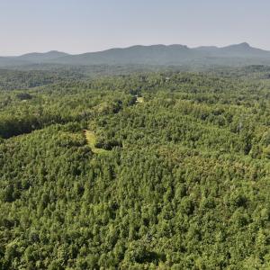 Photo #4 of SOLD property in 02 Seven Island Road, Danbury, NC 21.7 acres