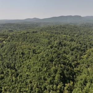 Photo #5 of SOLD property in 02 Seven Island Road, Danbury, NC 21.7 acres