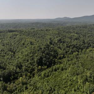 Photo #6 of SOLD property in 02 Seven Island Road, Danbury, NC 21.7 acres