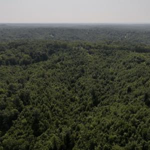 Photo #7 of SOLD property in 02 Seven Island Road, Danbury, NC 21.7 acres