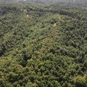 Photo #8 of SOLD property in 02 Seven Island Road, Danbury, NC 21.7 acres