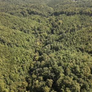 Photo #9 of SOLD property in 02 Seven Island Road, Danbury, NC 21.7 acres