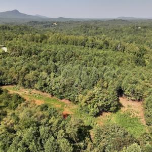 Photo #21 of SOLD property in 02 Seven Island Road, Danbury, NC 21.7 acres