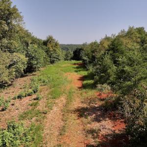 Photo #22 of SOLD property in 02 Seven Island Road, Danbury, NC 21.7 acres