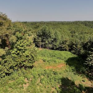 Photo #24 of SOLD property in 02 Seven Island Road, Danbury, NC 21.7 acres