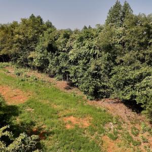 Photo #25 of SOLD property in 02 Seven Island Road, Danbury, NC 21.7 acres