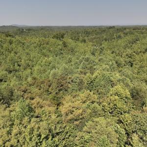 Photo #27 of SOLD property in 02 Seven Island Road, Danbury, NC 21.7 acres