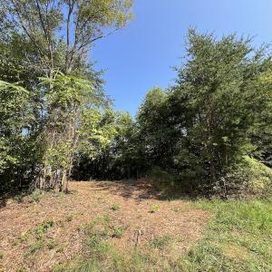 Photo #29 of SOLD property in 02 Seven Island Road, Danbury, NC 21.7 acres