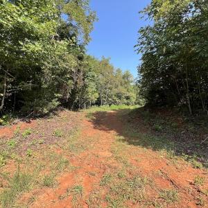 Photo #30 of SOLD property in 02 Seven Island Road, Danbury, NC 21.7 acres