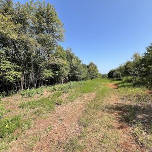 Photo #31 of SOLD property in 02 Seven Island Road, Danbury, NC 21.7 acres