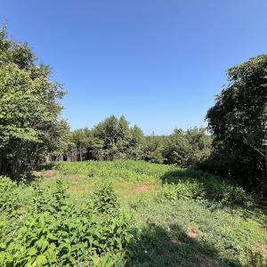 Photo #32 of SOLD property in 02 Seven Island Road, Danbury, NC 21.7 acres