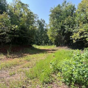 Photo #34 of SOLD property in 02 Seven Island Road, Danbury, NC 21.7 acres