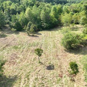 Photo #13 of Off of Moneta Road, Moneta, VA 10.4 acres