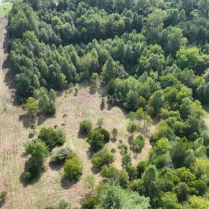 Photo #3 of Off of Moneta Road, Moneta, VA 10.4 acres