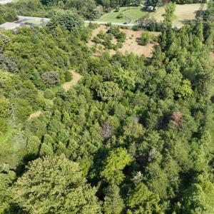 Photo #4 of Off of Moneta Road, Moneta, VA 10.4 acres