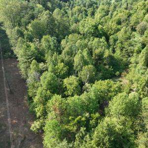 Photo #9 of Off of Moneta Road, Moneta, VA 10.4 acres