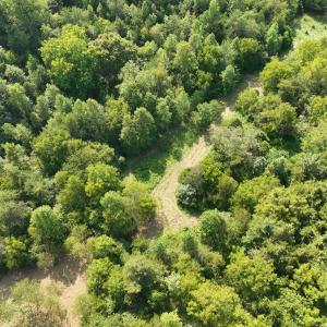 Photo #10 of Off of Moneta Road, Moneta, VA 10.4 acres
