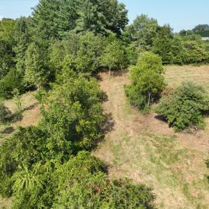 Photo #14 of Off of Moneta Road, Moneta, VA 10.4 acres