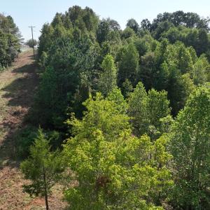 Photo #12 of Off of Moneta Road, Moneta, VA 10.4 acres