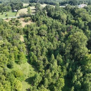 Photo #18 of Off of Moneta Road, Moneta, VA 10.4 acres