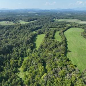 Photo #19 of Off of Moneta Road, Moneta, VA 10.4 acres