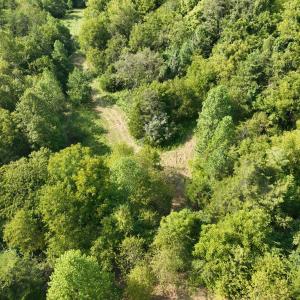 Photo #23 of Off of Moneta Road, Moneta, VA 10.4 acres