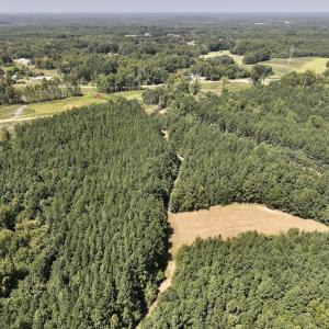 Photo #10 of SOLD property in Off Todd Road and Virgilina Road, Roxboro, NC 31.4 acres