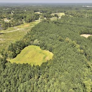 Photo #13 of SOLD property in Off Todd Road and Virgilina Road, Roxboro, NC 31.4 acres