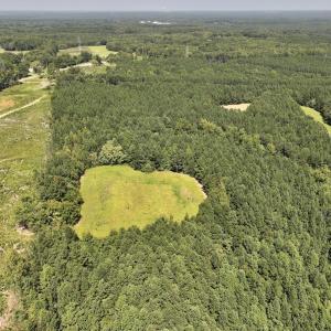 Photo #15 of SOLD property in Off Todd Road and Virgilina Road, Roxboro, NC 31.4 acres